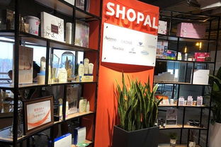 獵聘網母嬰用品銷售崗位解析 機遇與挑戰并存