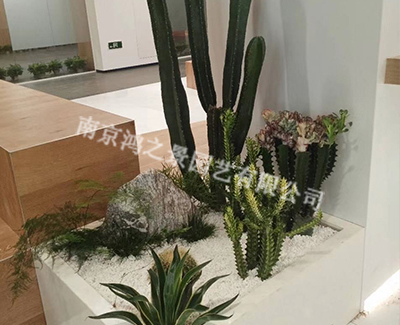 多種植物展示